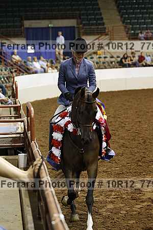 Proof Number 10r12_7795