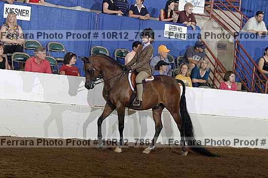 Proof Number 10r12_7861