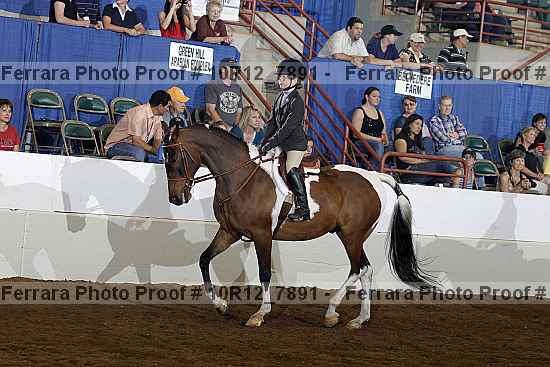 Proof Number 10r12_7891