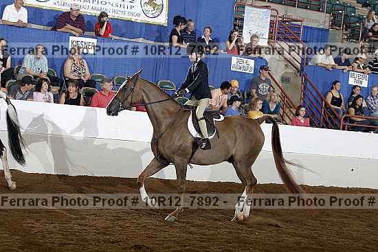 Proof Number 10r12_7892