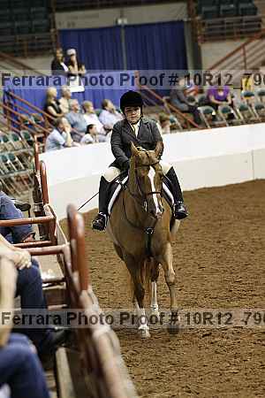 Proof Number 10r12_7900