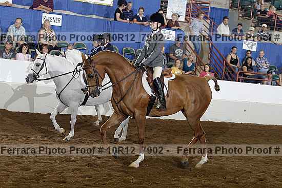 Proof Number 10r12_7902