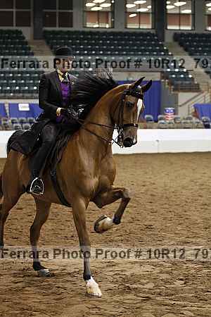 Proof Number 10r12_7978