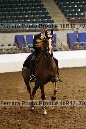 Proof Number 10r12_7983