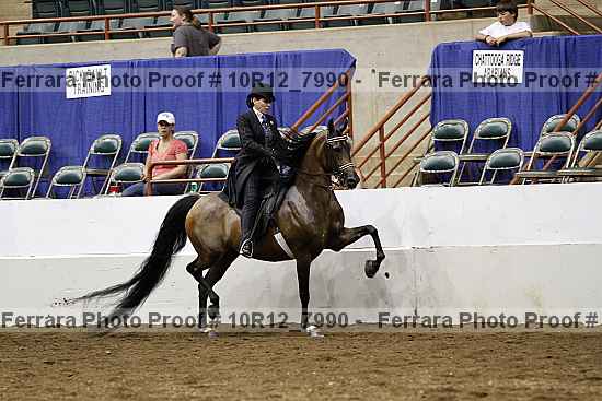 Proof Number 10r12_7990