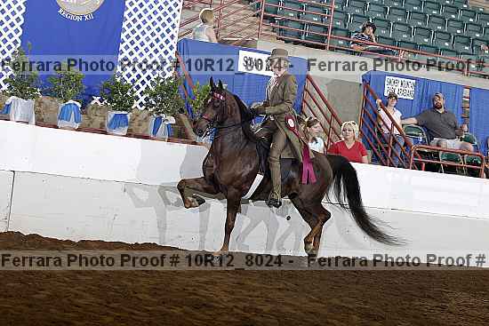 Proof Number 10r12_8024