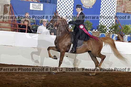 Proof Number 10r12_8026