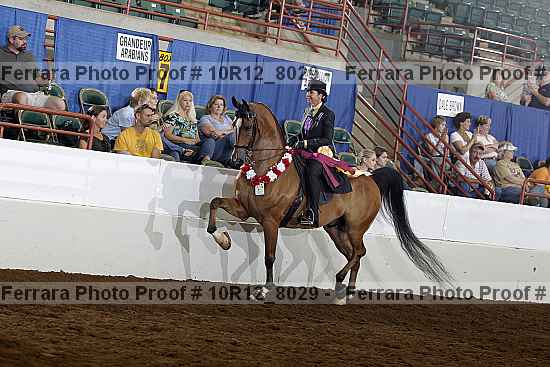 Proof Number 10r12_8029