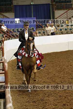 Proof Number 10r12_8179