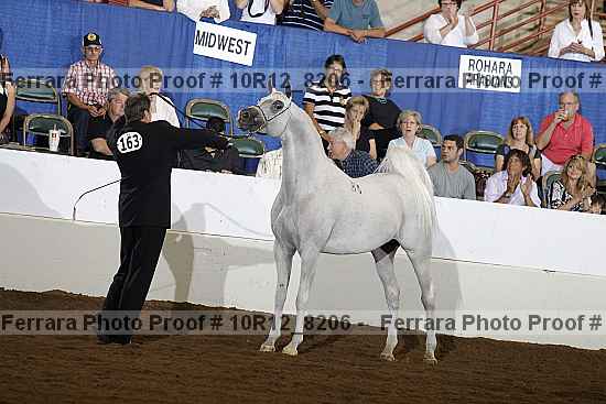 Proof Number 10r12_8206