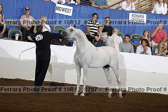 Proof Number 10r12_8207