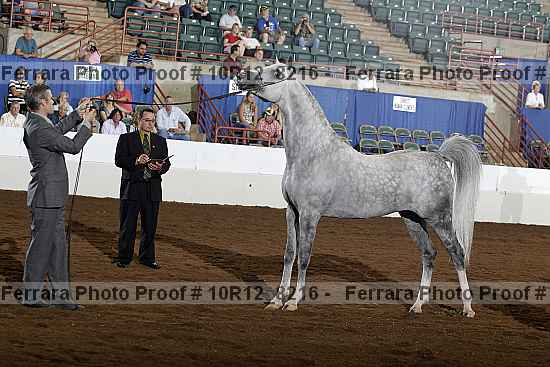 Proof Number 10r12_8216