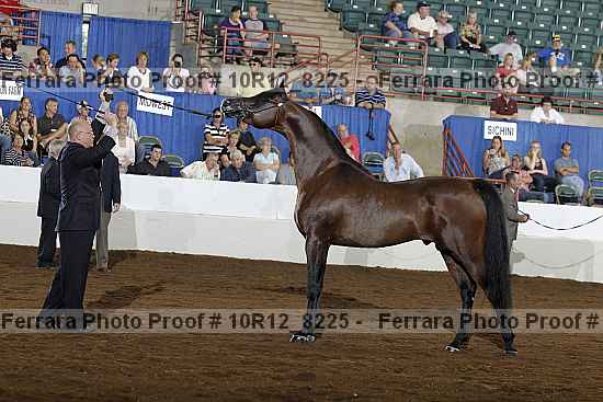 Proof Number 10r12_8225