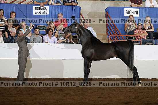 Proof Number 10r12_8226