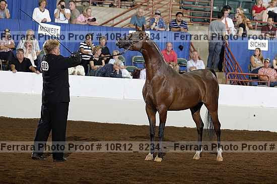 Proof Number 10r12_8234