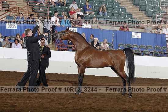 Proof Number 10r12_8244