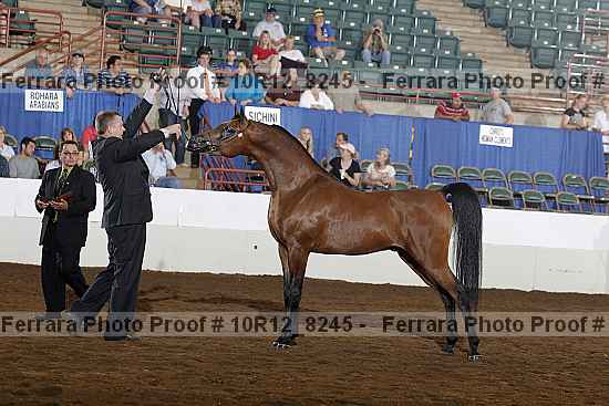 Proof Number 10r12_8245