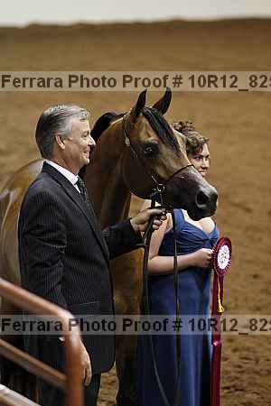 Proof Number 10r12_8254