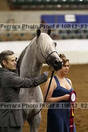Proof Number 10r12_8259