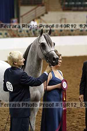 Proof Number 10r12_8260