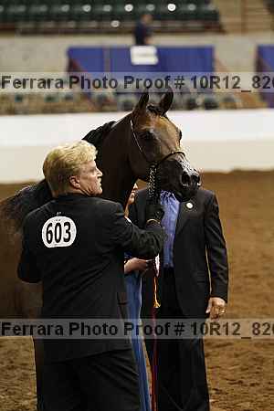 Proof Number 10r12_8264