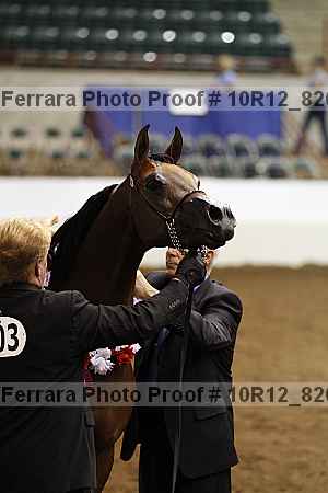 Proof Number 10r12_8265