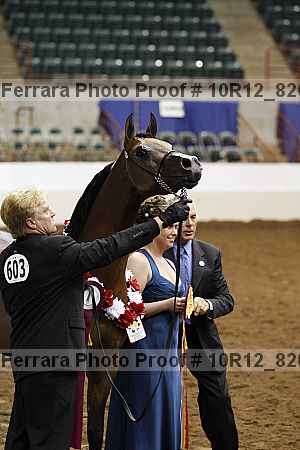Proof Number 10r12_8266