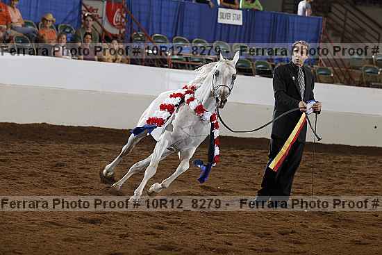 Proof Number 10r12_8279