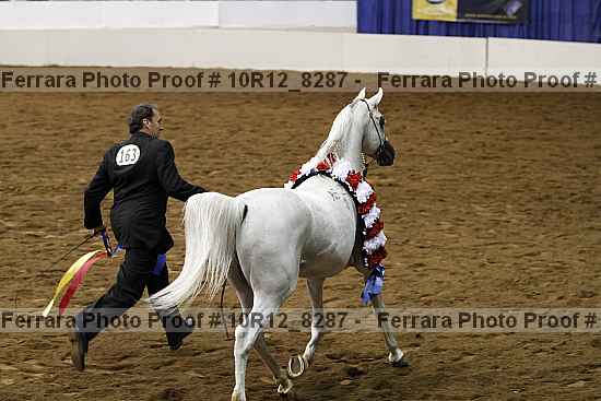Proof Number 10r12_8287