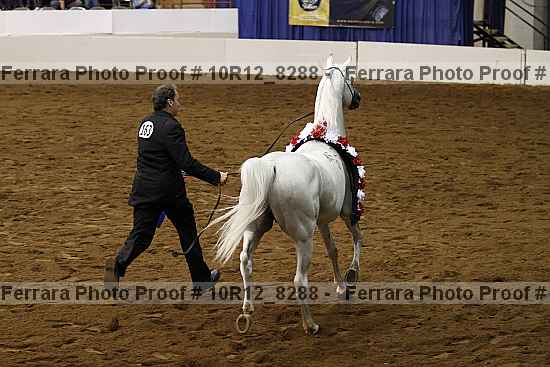 Proof Number 10r12_8288