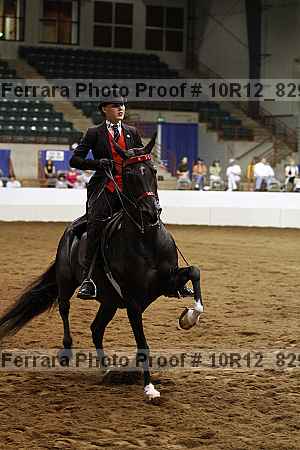 Proof Number 10r12_8294