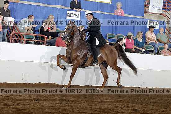 Proof Number 10r12_8303