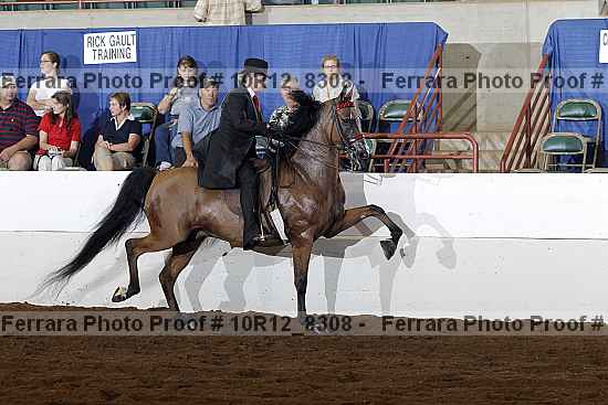 Proof Number 10r12_8308