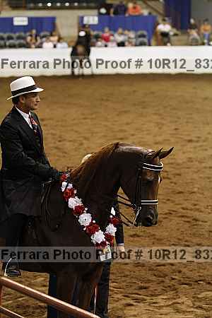 Proof Number 10r12_8321