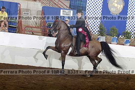 Proof Number 10r12_8331