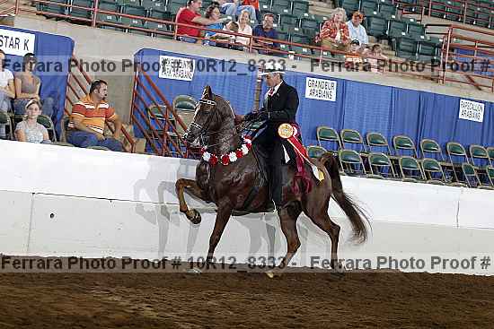 Proof Number 10r12_8333