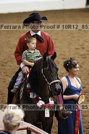 Proof Number 10r12_8529