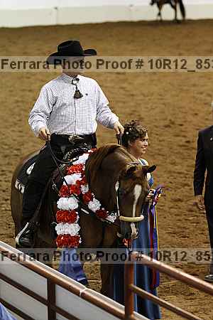 Proof Number 10r12_8539