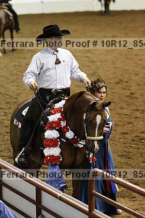 Proof Number 10r12_8541