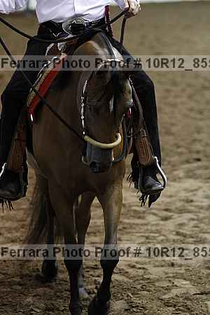 Proof Number 10r12_8555