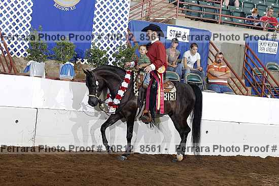 Proof Number 10r12_8561
