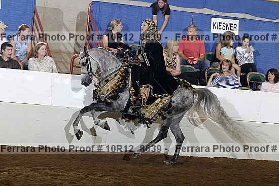 Proof Number 10r12_8639