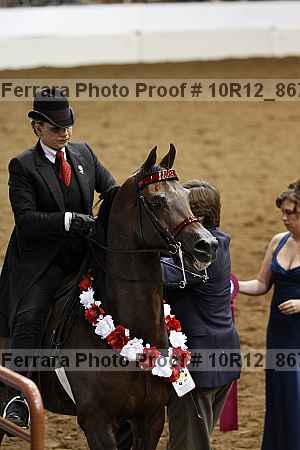 Proof Number 10r12_8678