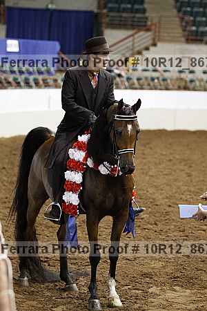 Proof Number 10r12_8679