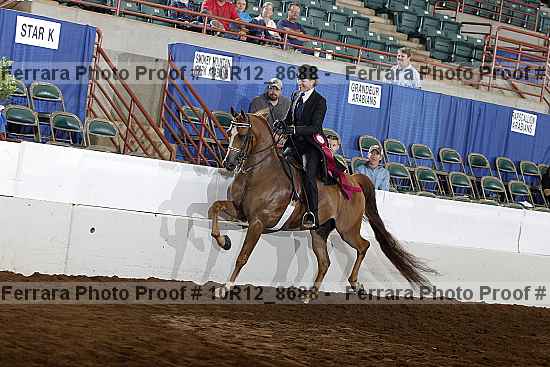 Proof Number 10r12_8688