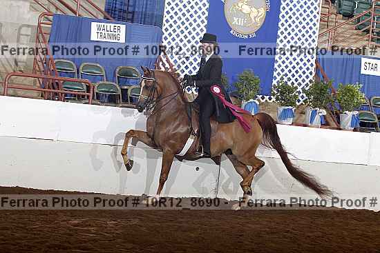 Proof Number 10r12_8690