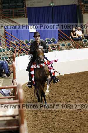 Proof Number 10r12_8694