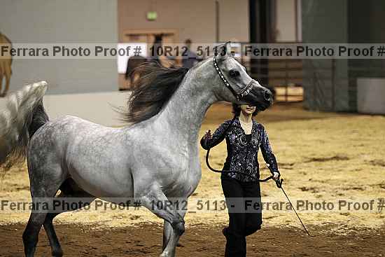 Proof Number 10r12_5113