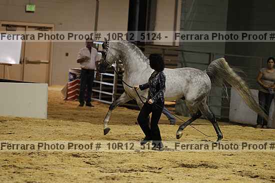 Proof Number 10r12_5124