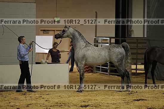 Proof Number 10r12_5127
